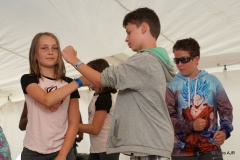 centre-communautaire-pierre-lemaire-drummondville_activite-fete-de-quartier-2018_249